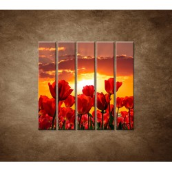 Obrazy na stenu - Západ slnka nad tulipánmi - 5dielny 100x100cm